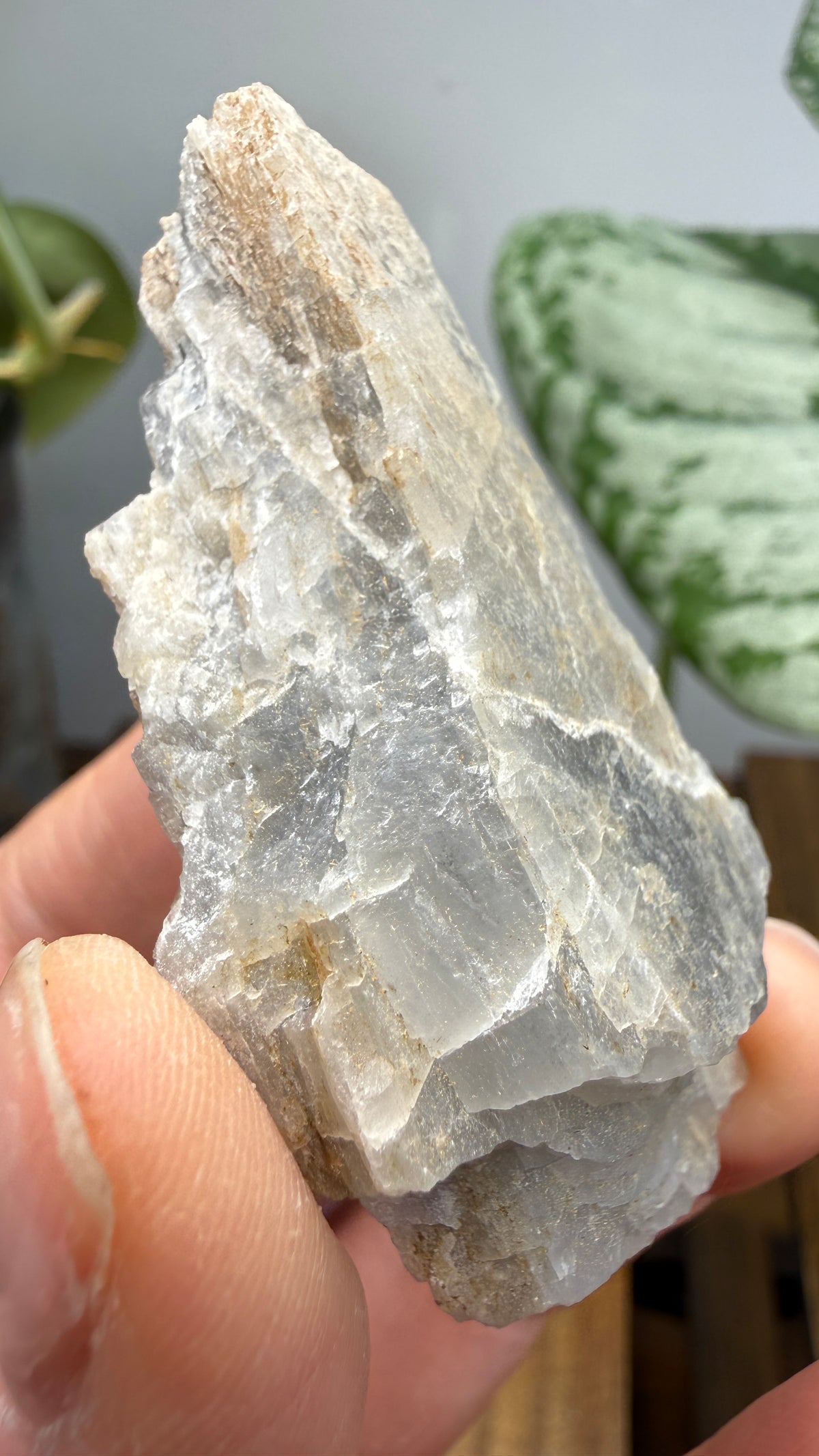 Petalite- Varuträsk, Skellefteå, Västerbotten County, Sweden