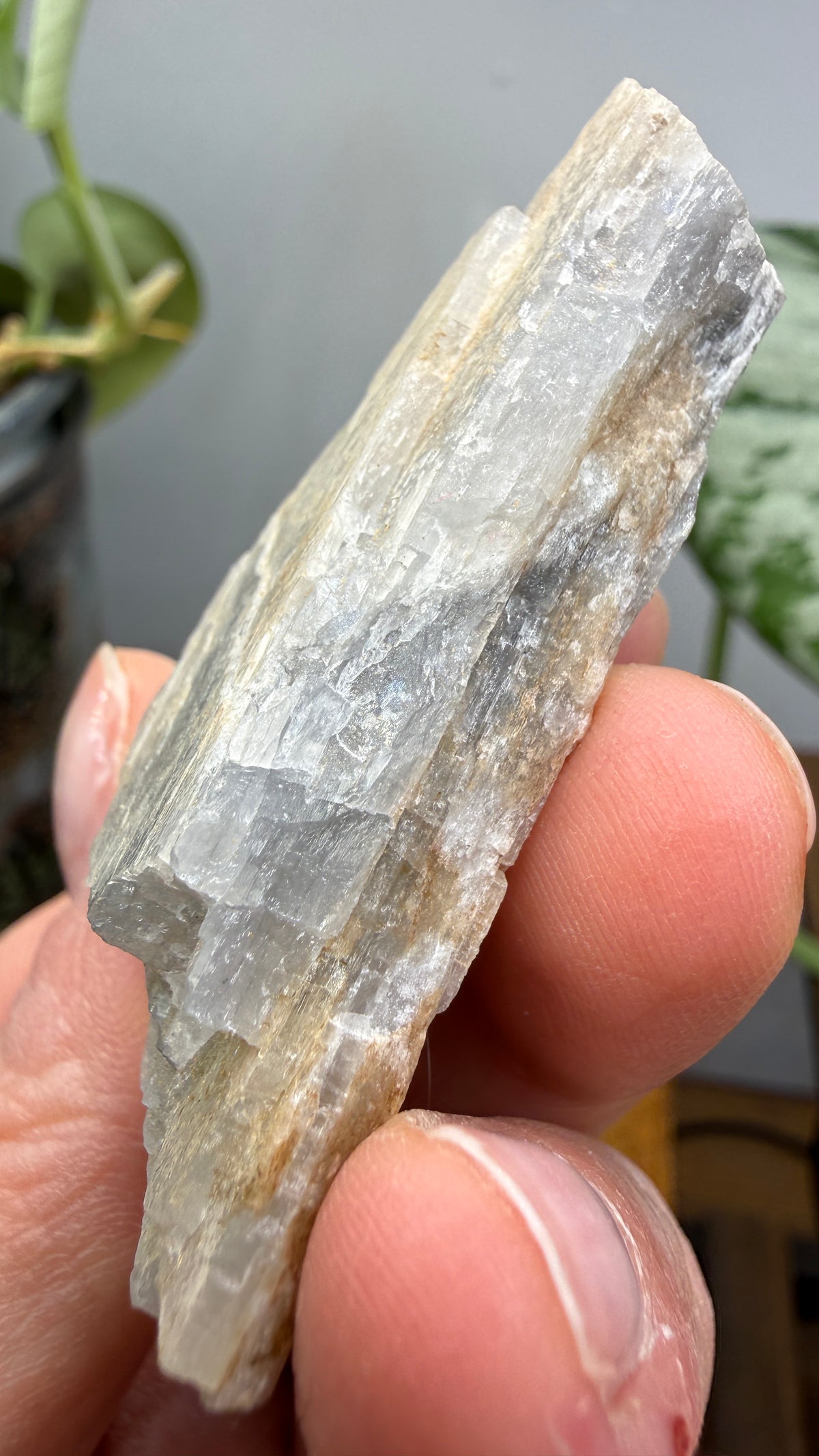 Petalite- Varuträsk, Skellefteå, Västerbotten County, Sweden