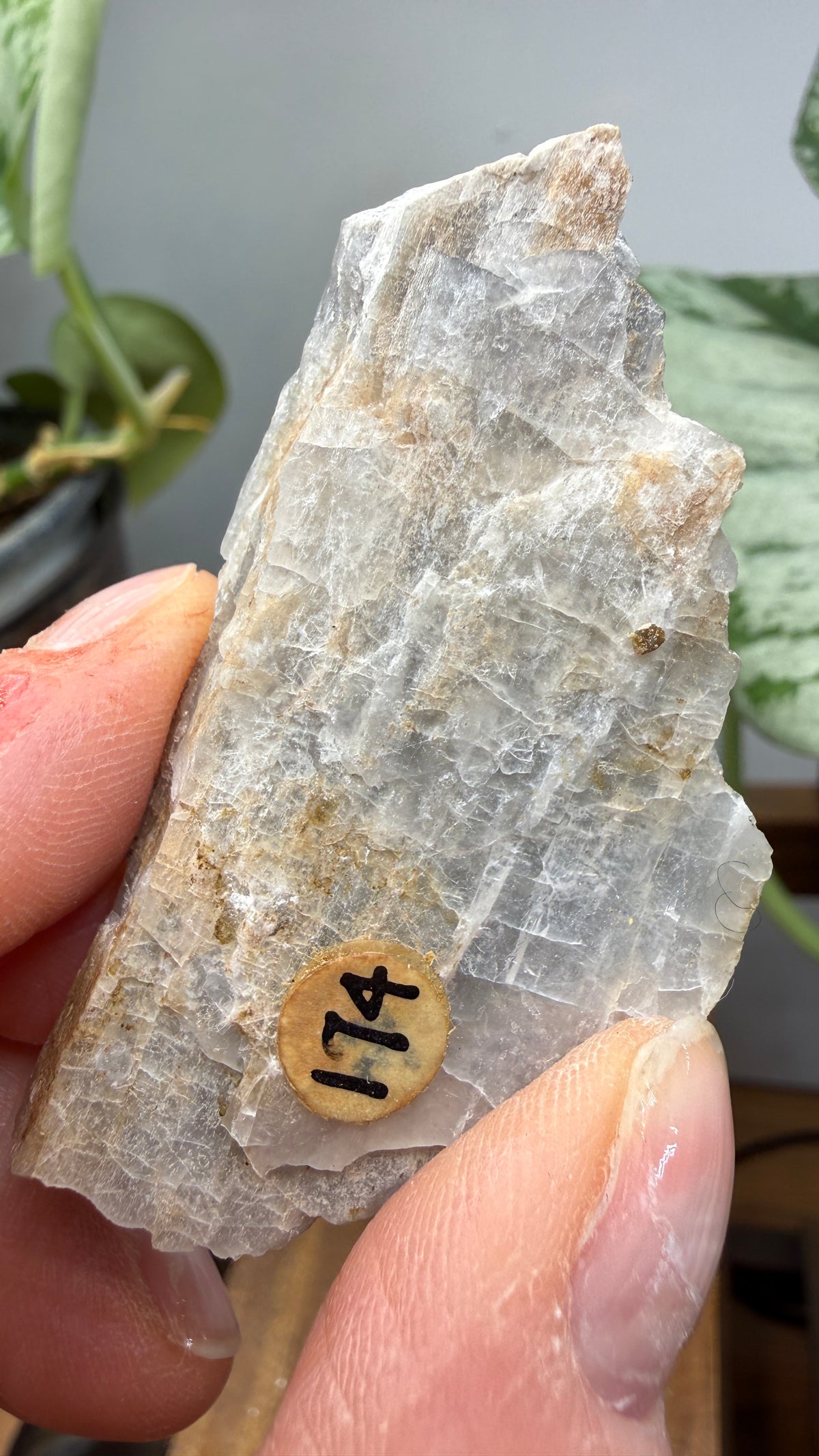 Petalite- Varuträsk, Skellefteå, Västerbotten County, Sweden