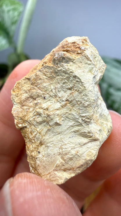 Bismutite- White Picacho Mining District, Yavapai County, Arizona, USA