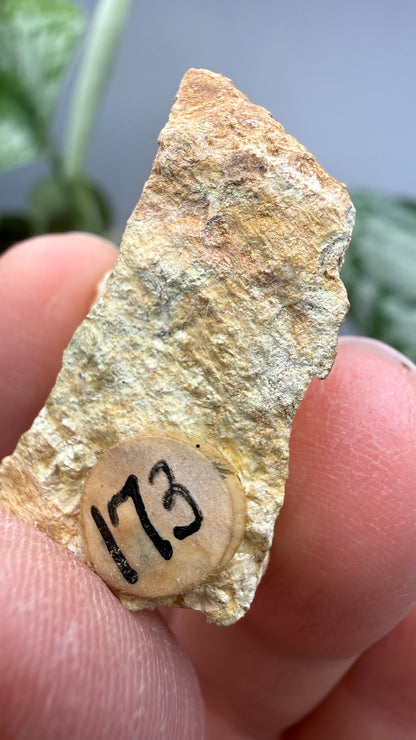 Bismutite- White Picacho Mining District, Yavapai County, Arizona, USA
