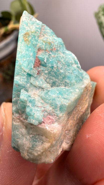 Amazonite- Amelia County, Virginia, USA