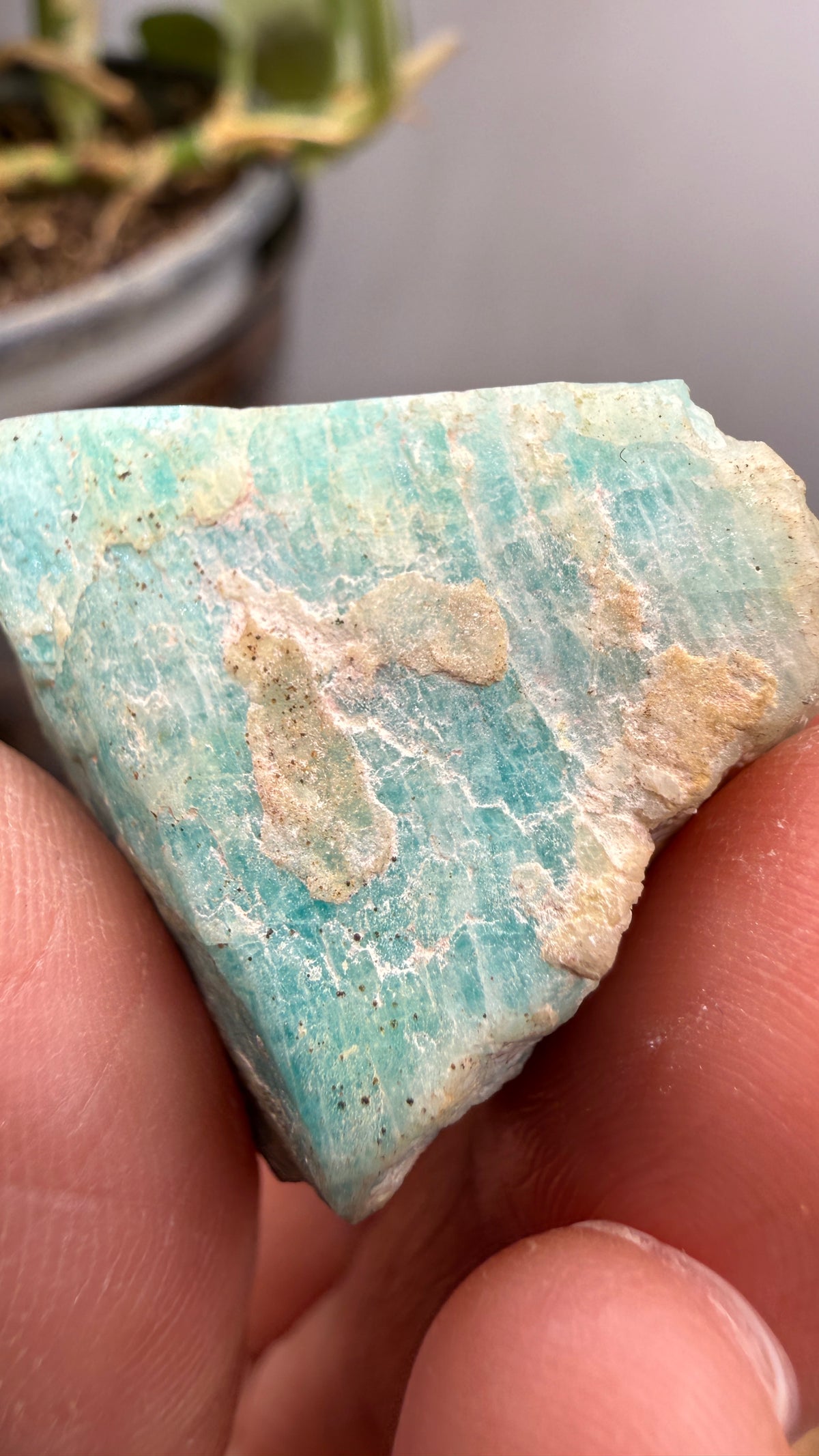 Amazonite- Amelia County, Virginia, USA