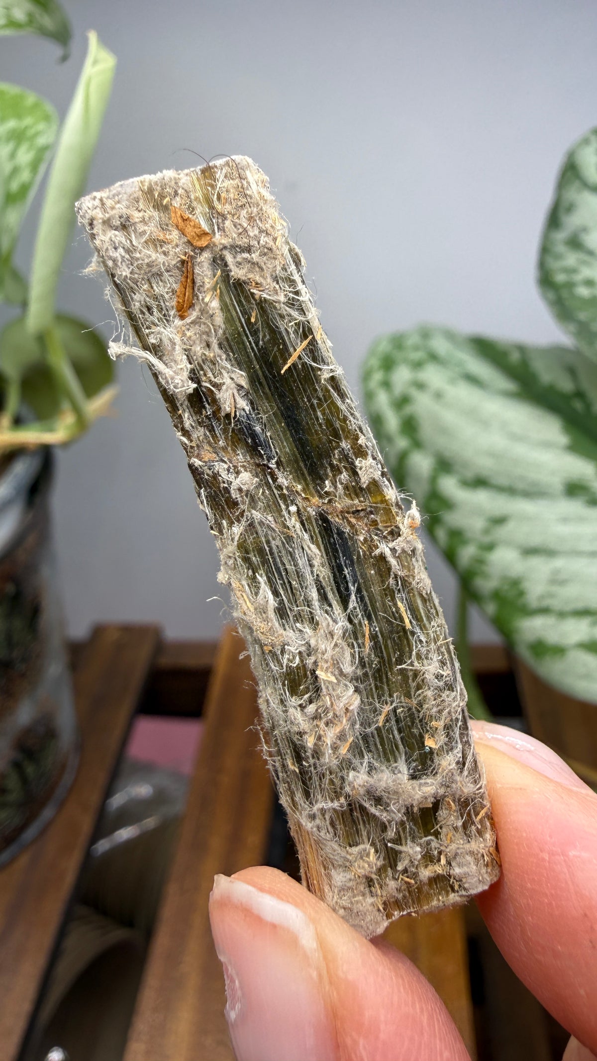 Asbestos (Amphibole Group)- New Mexico, USA