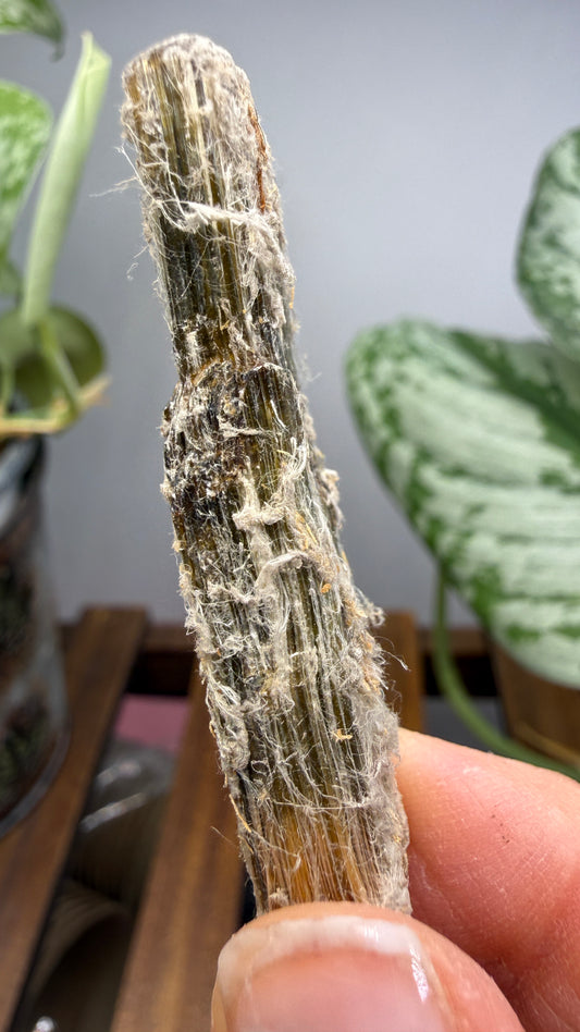 Asbestos (Amphibole Group)- New Mexico, USA
