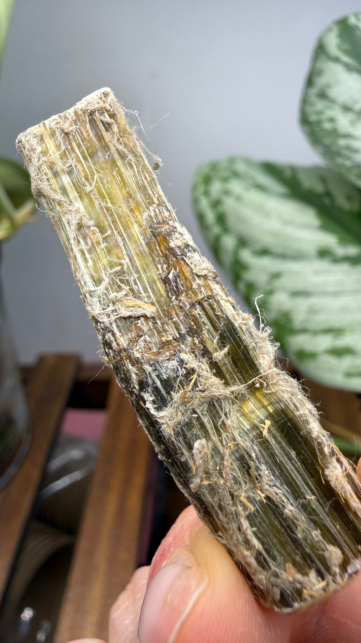 Asbestos (Amphibole Group)- New Mexico, USA