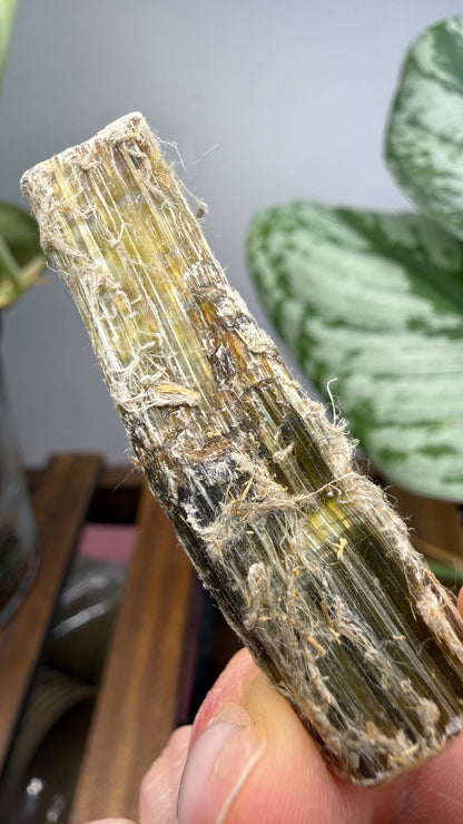 Asbestos (Amphibole Group)- New Mexico, USA