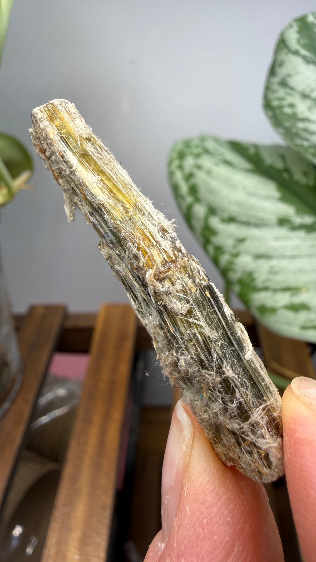 Asbestos (Amphibole Group)- New Mexico, USA