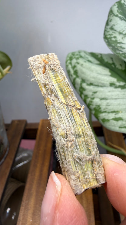 Asbestos (Amphibole Group)- New Mexico, USA