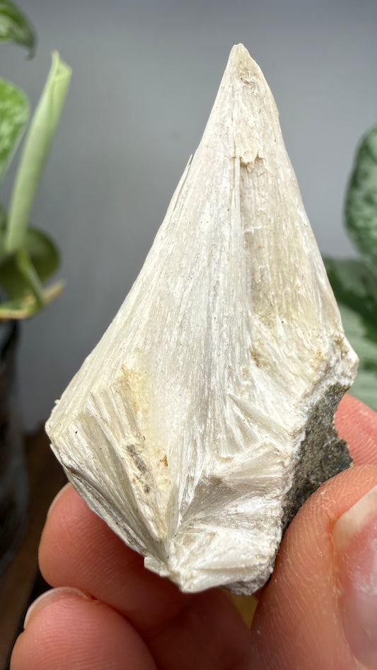 Pectolite- Paterson, Passaic County, New Jersey, USA