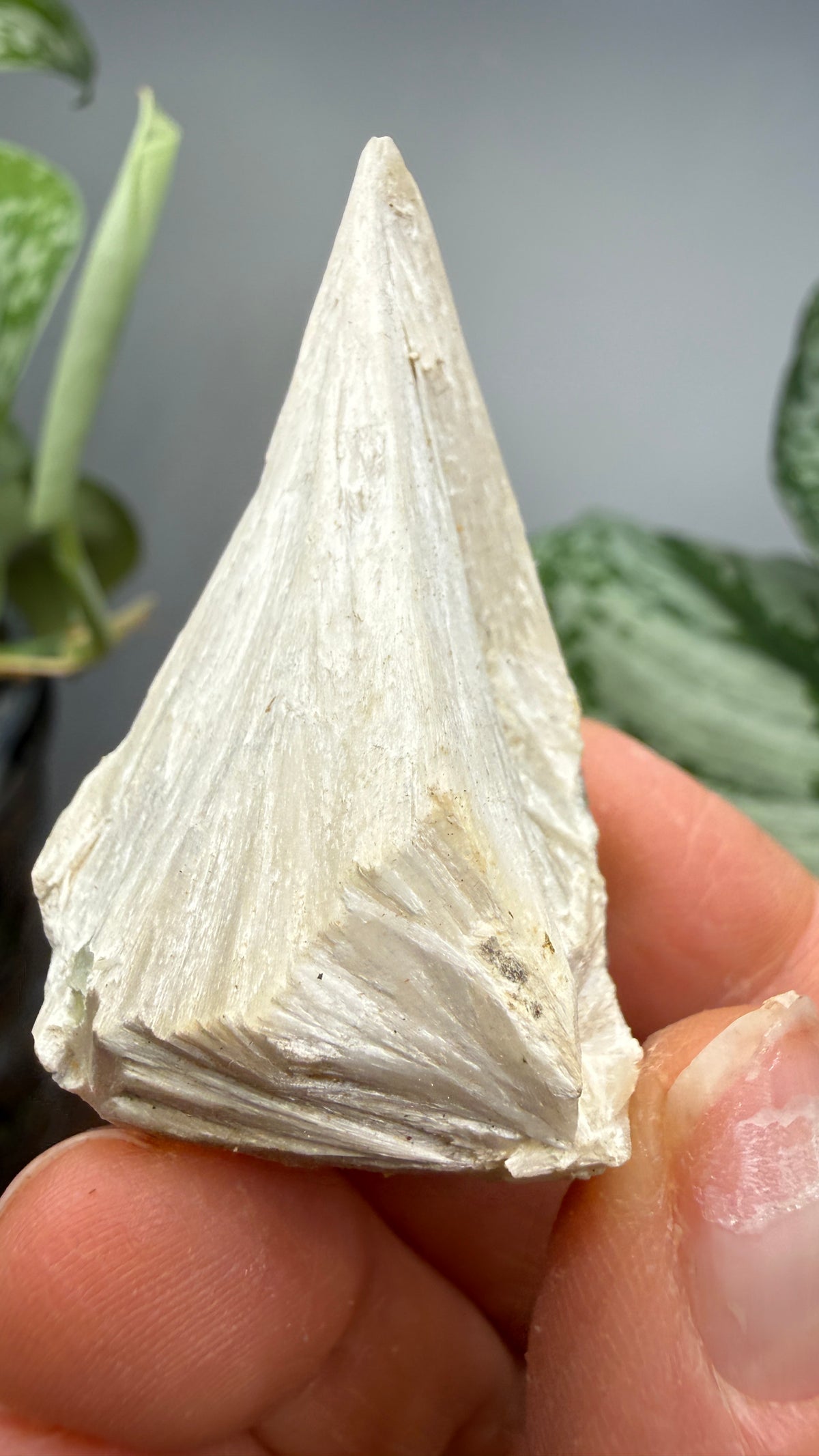 Pectolite- Paterson, Passaic County, New Jersey, USA