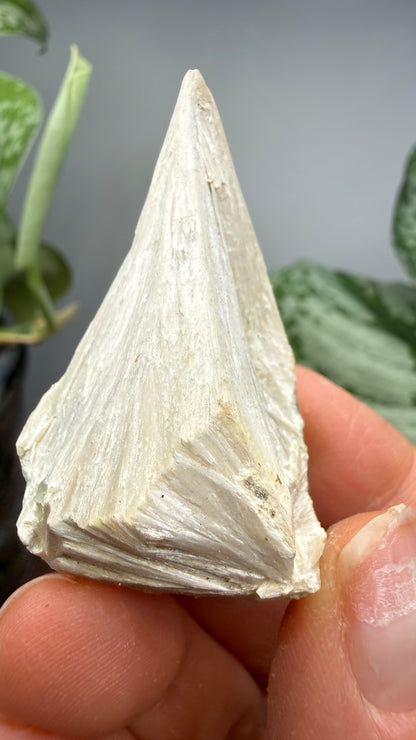 Pectolite- Paterson, Passaic County, New Jersey, USA