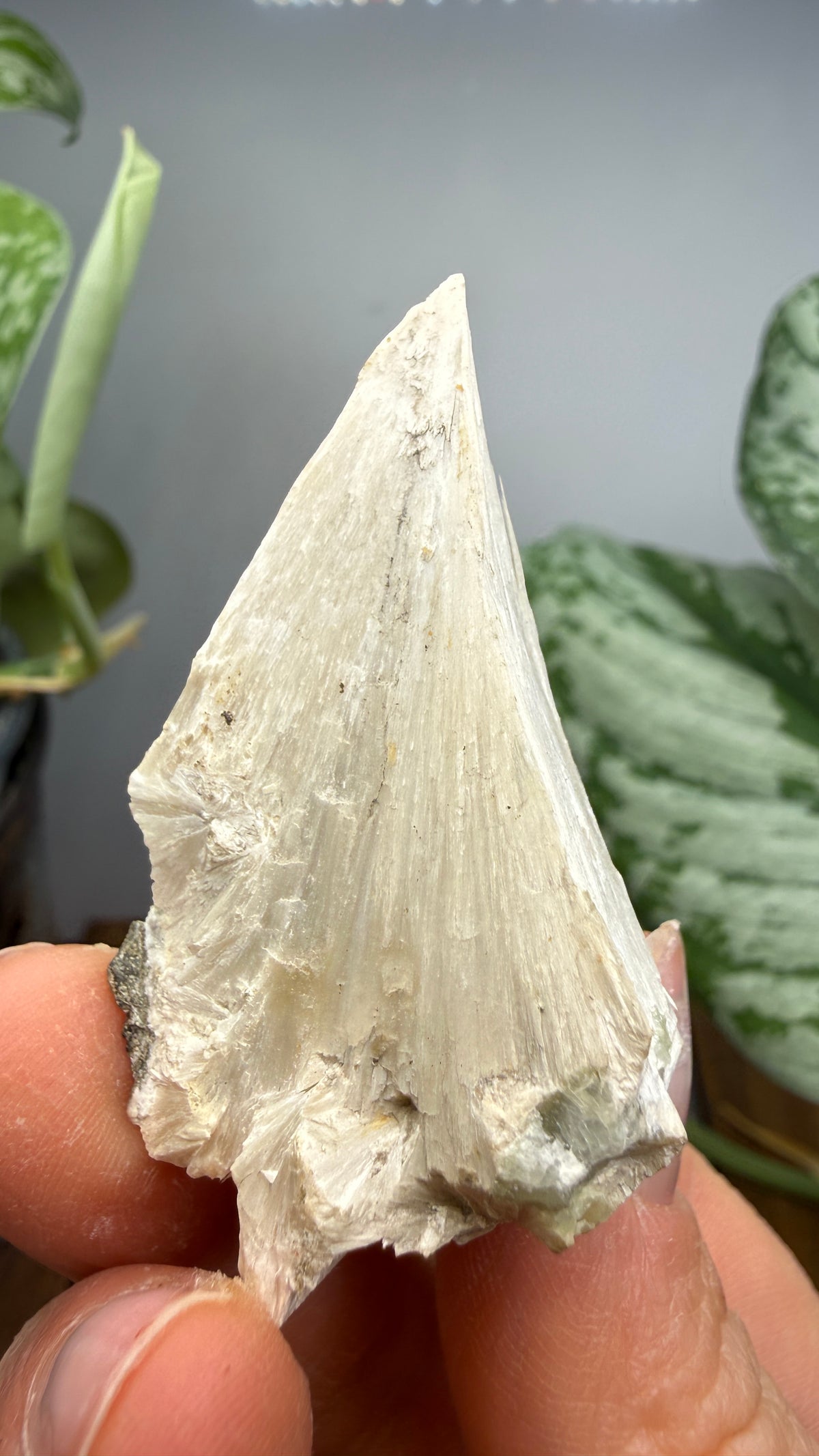 Pectolite- Paterson, Passaic County, New Jersey, USA