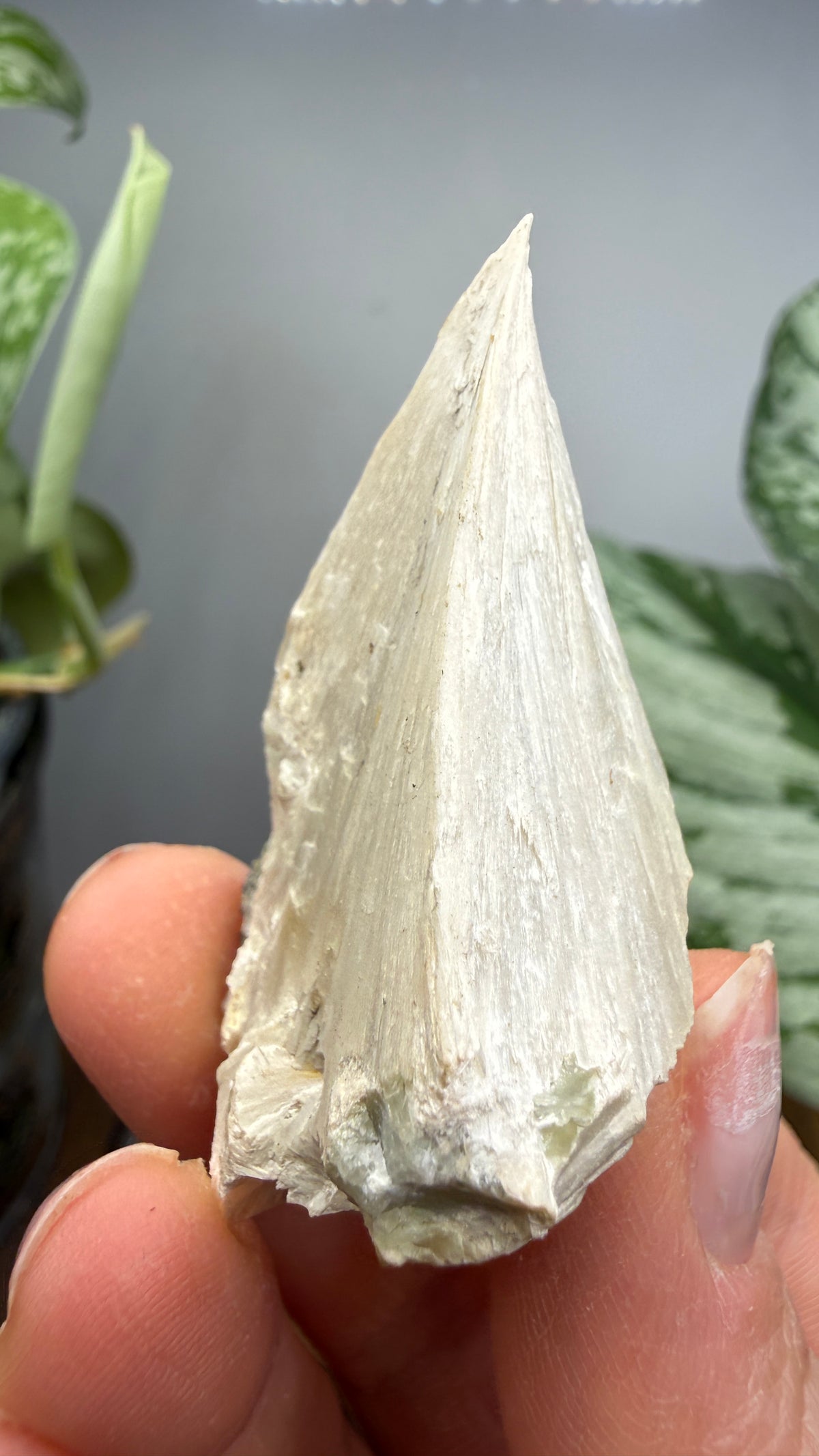 Pectolite- Paterson, Passaic County, New Jersey, USA