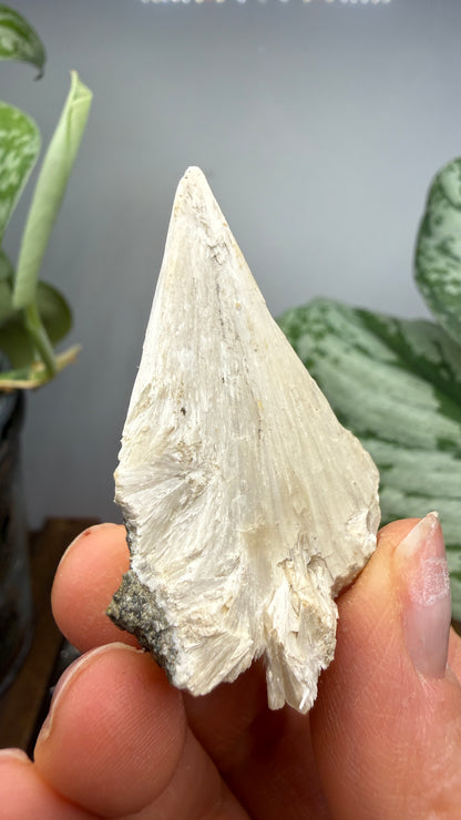 Pectolite- Paterson, Passaic County, New Jersey, USA