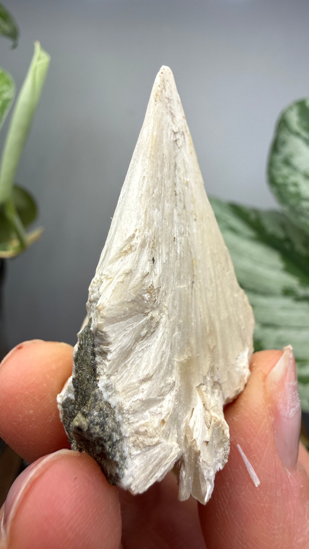 Pectolite- Paterson, Passaic County, New Jersey, USA