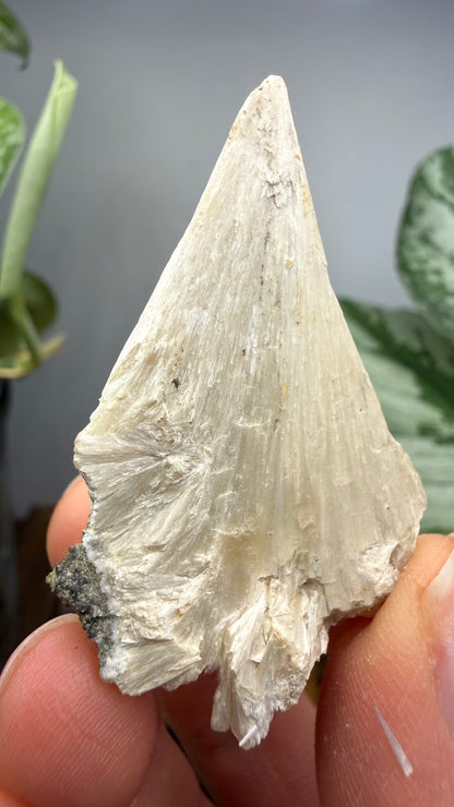 Pectolite- Paterson, Passaic County, New Jersey, USA