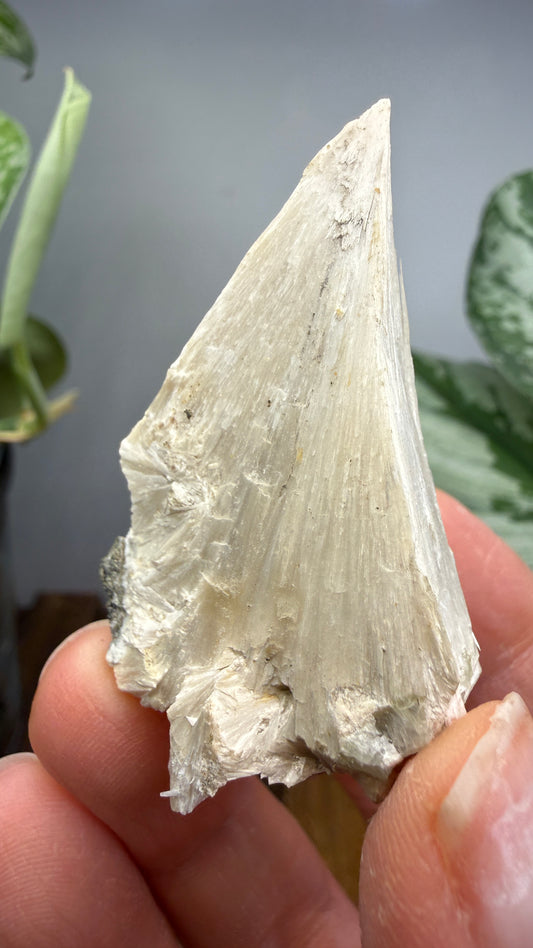 Pectolite- Paterson, Passaic County, New Jersey, USA