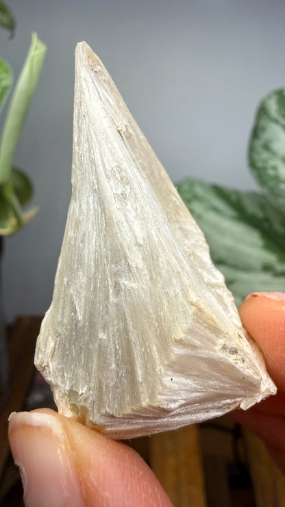 Pectolite- Paterson, Passaic County, New Jersey, USA