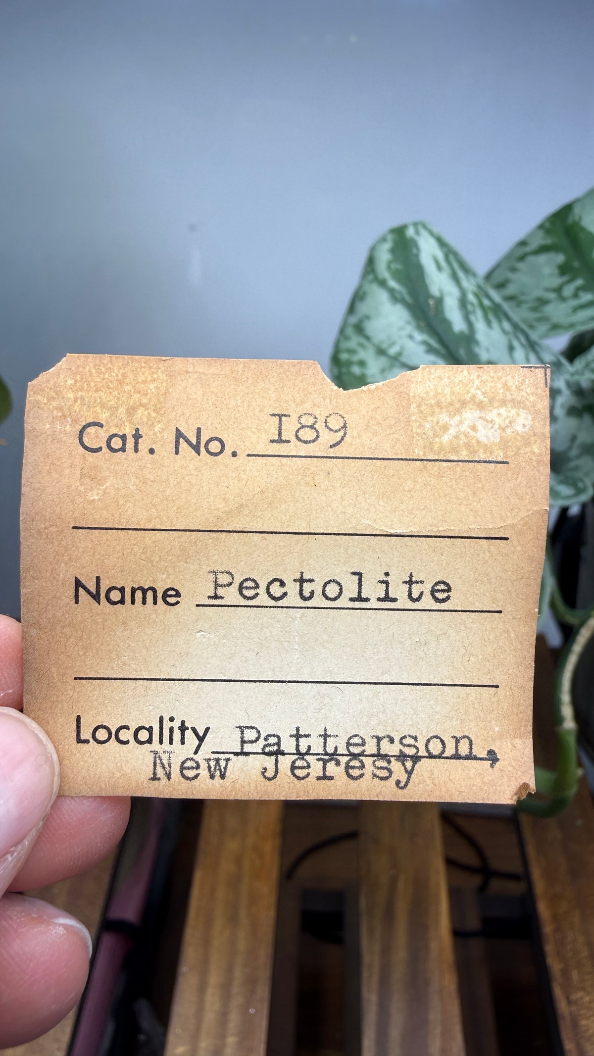 Pectolite- Paterson, Passaic County, New Jersey, USA