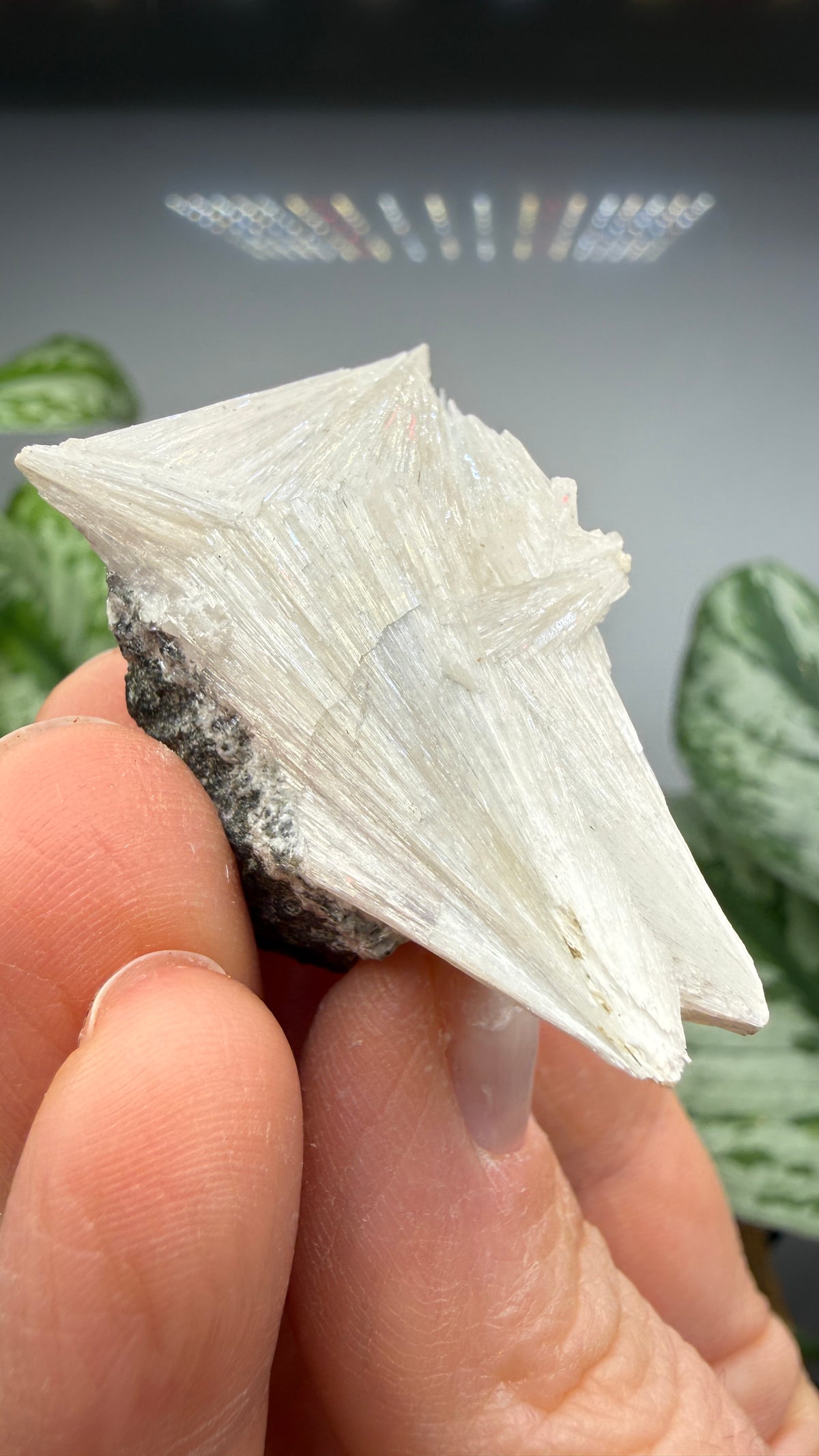 Pectolite- California, USA