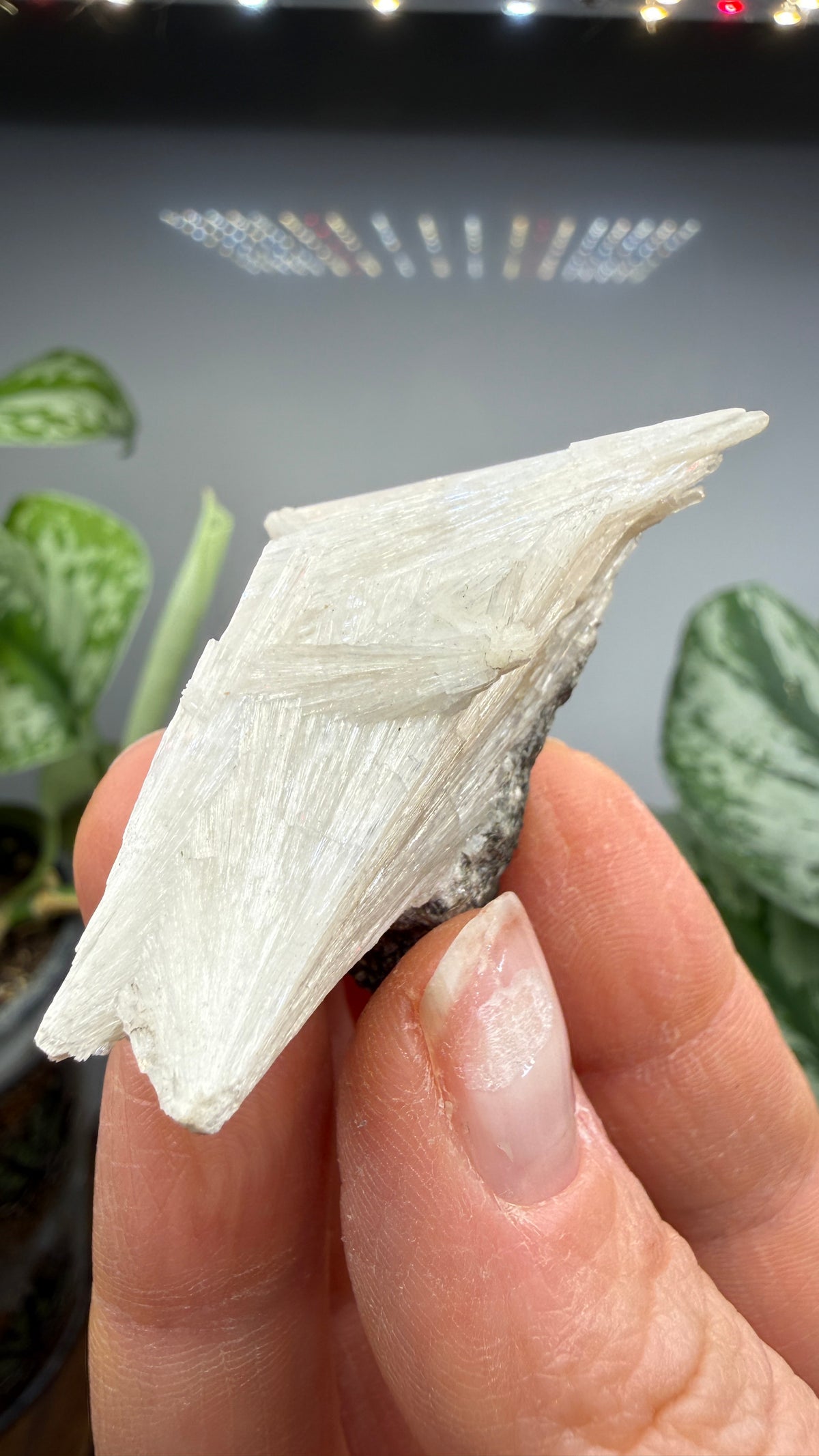 Pectolite- California, USA