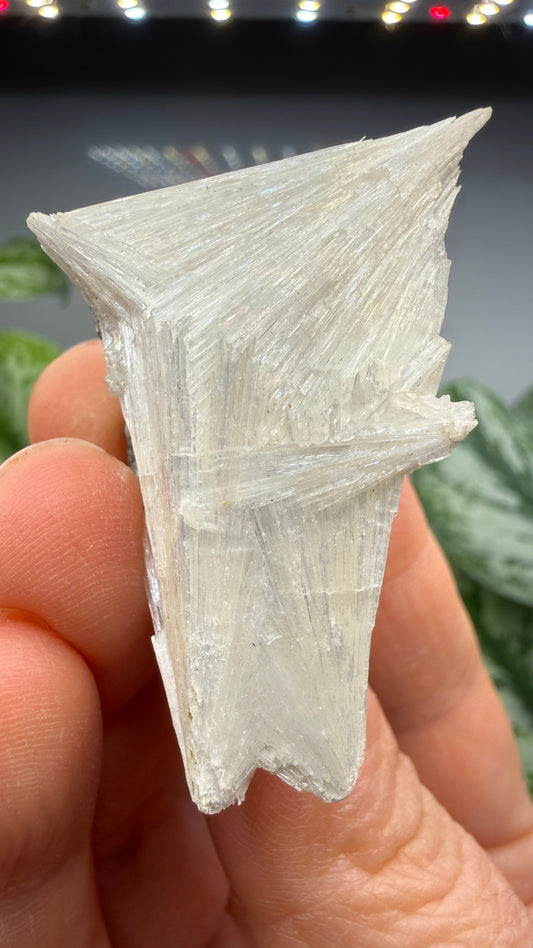 Pectolite- California, USA