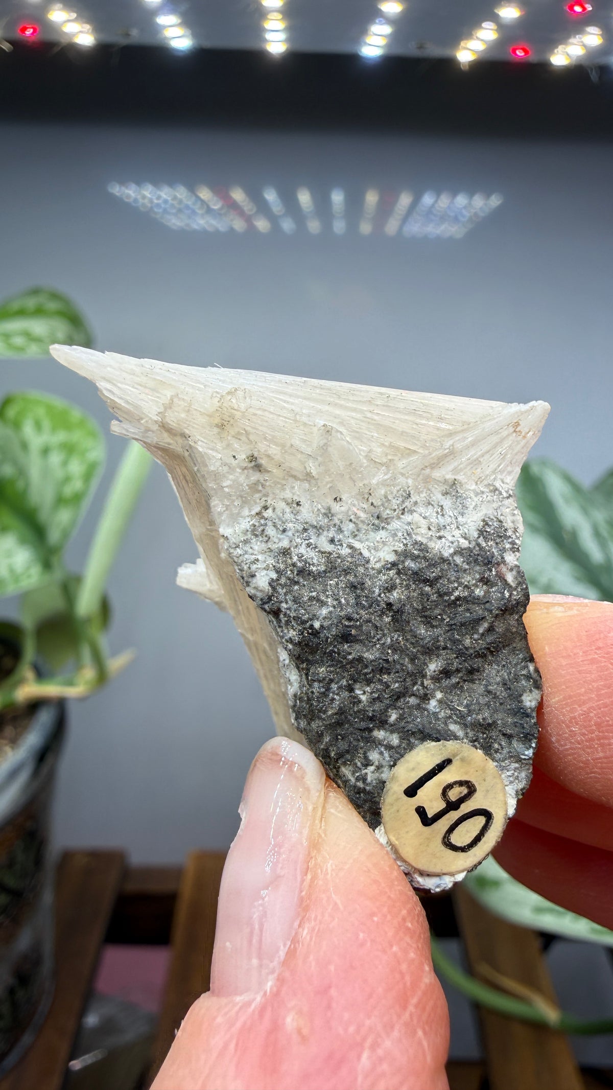 Pectolite- California, USA