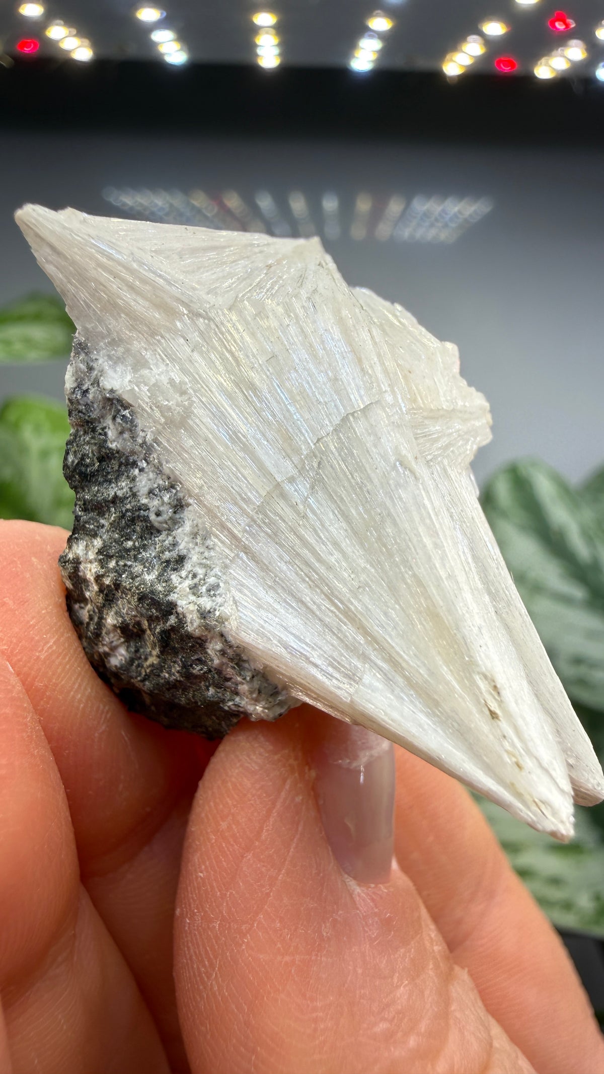 Pectolite- California, USA