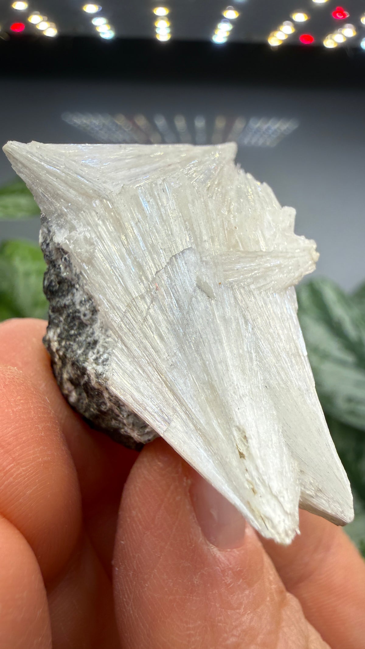 Pectolite- California, USA