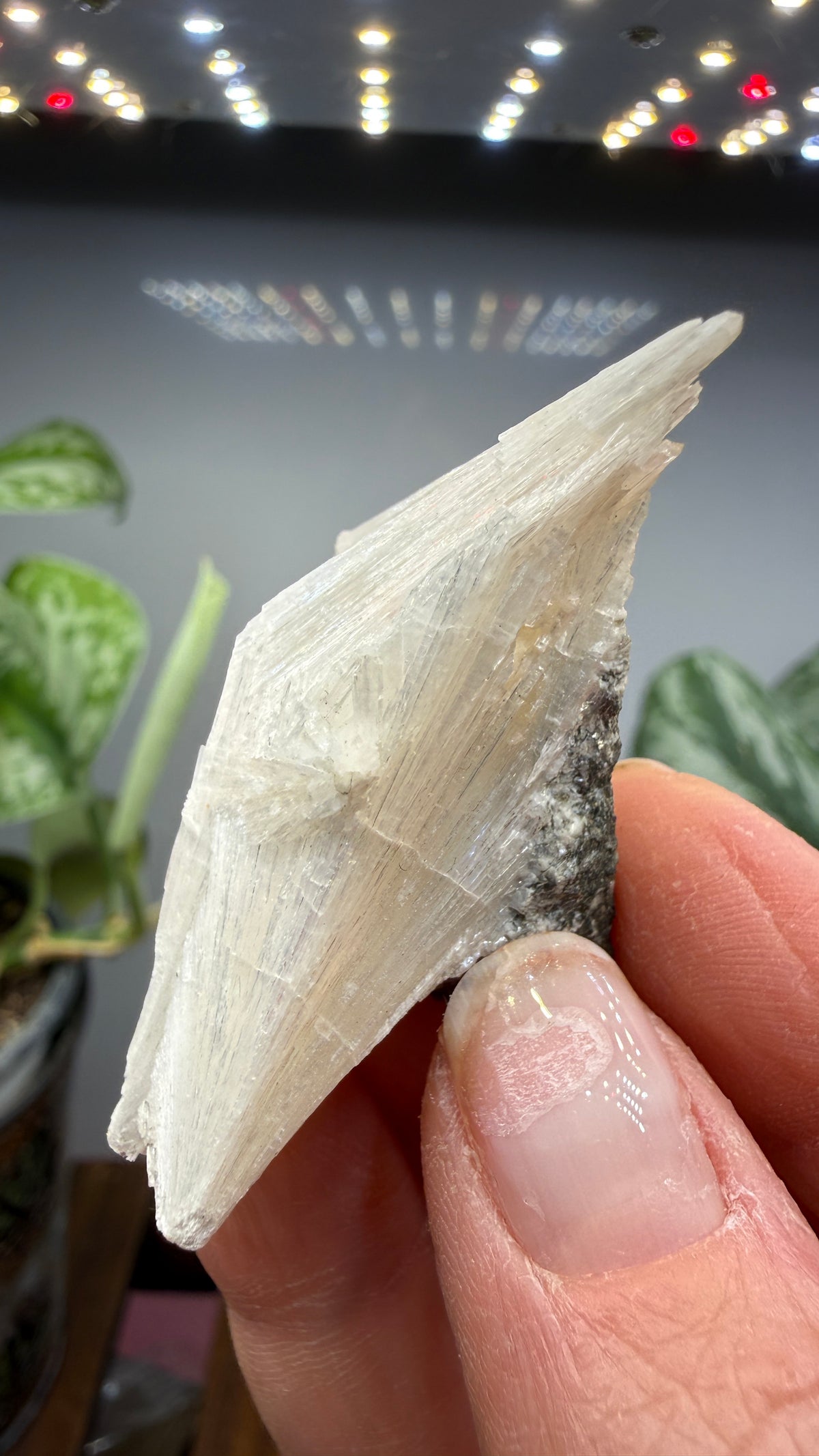 Pectolite- California, USA