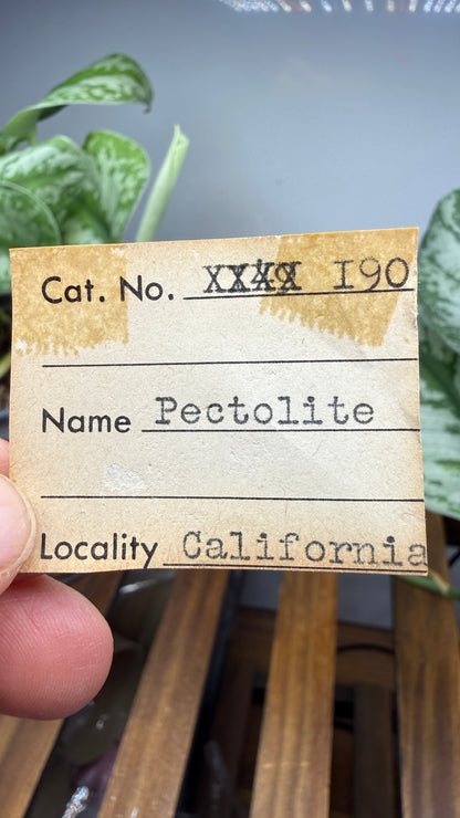 Pectolite- California, USA