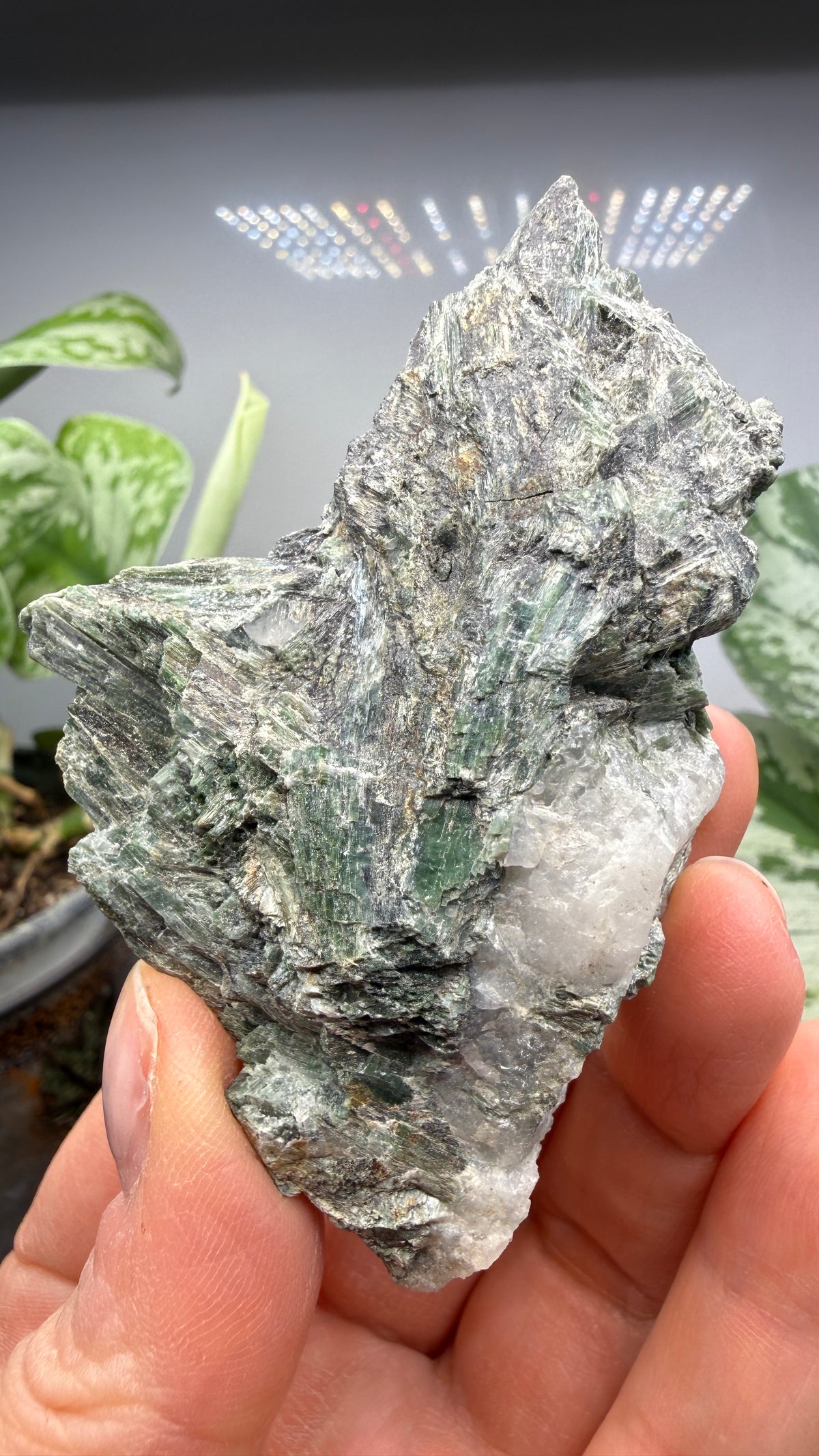 Actinolite with Quartz- Grizzly Ridge, Plumas County, California, USA