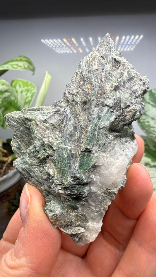 Actinolite with Quartz- Grizzly Ridge, Plumas County, California, USA