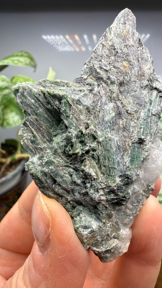 Actinolite with Quartz- Grizzly Ridge, Plumas County, California, USA