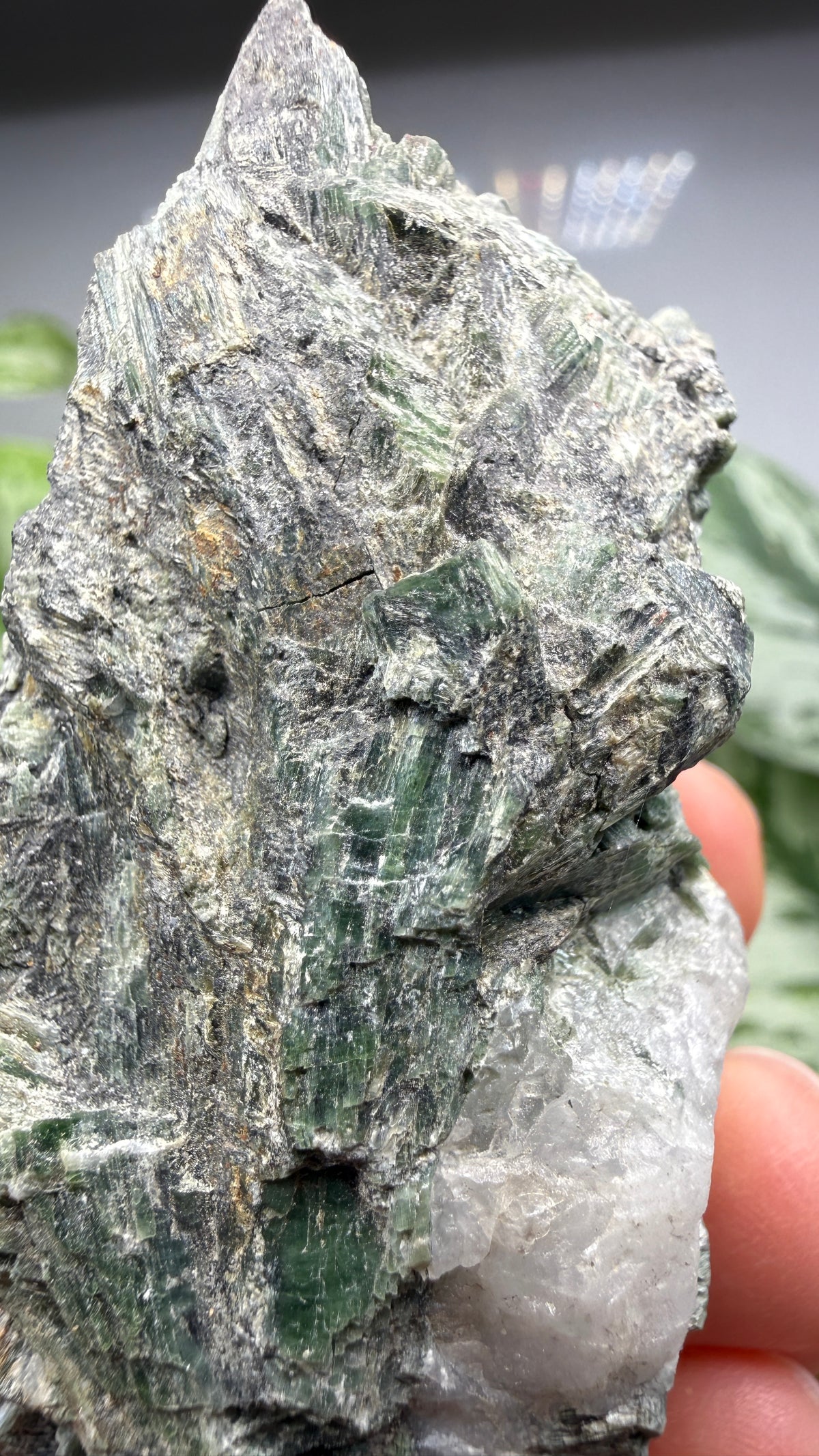 Actinolite with Quartz- Grizzly Ridge, Plumas County, California, USA