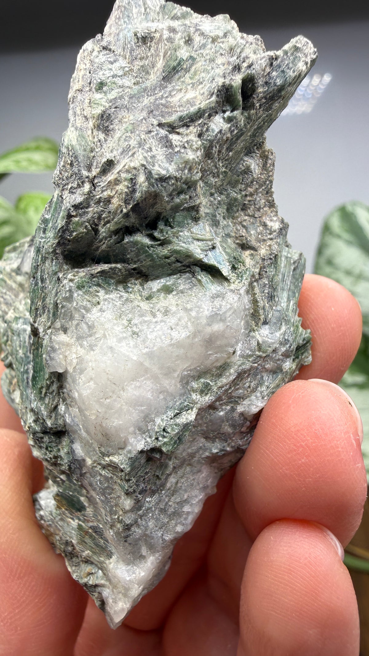 Actinolite with Quartz- Grizzly Ridge, Plumas County, California, USA