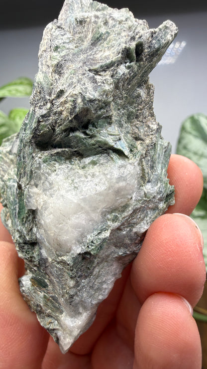 Actinolite with Quartz- Grizzly Ridge, Plumas County, California, USA