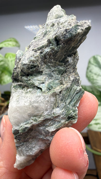 Actinolite with Quartz- Grizzly Ridge, Plumas County, California, USA