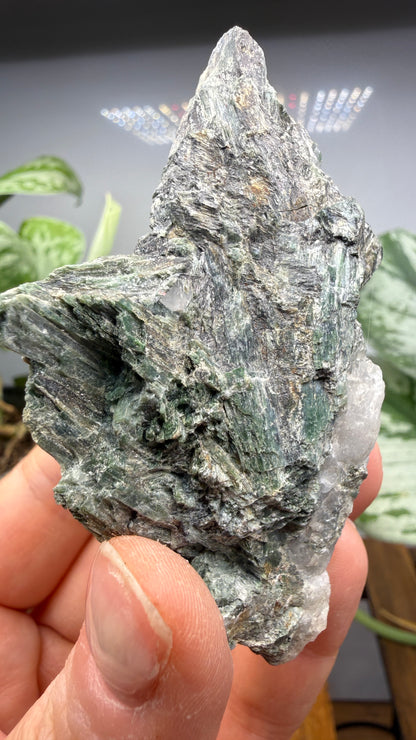 Actinolite with Quartz- Grizzly Ridge, Plumas County, California, USA
