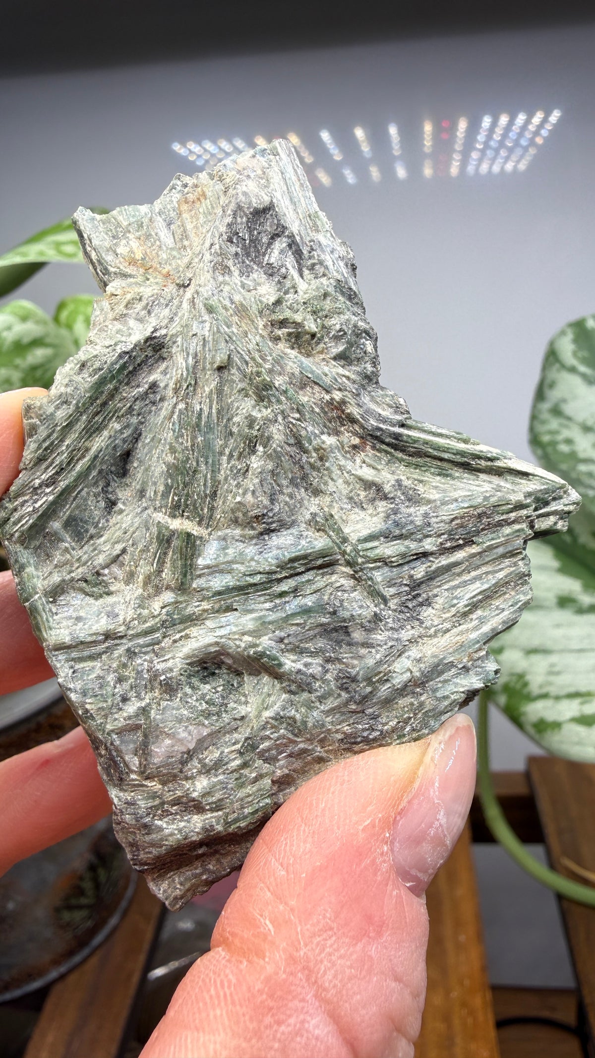 Actinolite with Quartz- Grizzly Ridge, Plumas County, California, USA