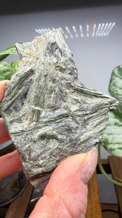 Actinolite with Quartz- Grizzly Ridge, Plumas County, California, USA