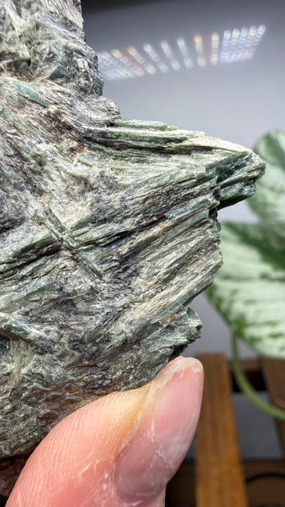 Actinolite with Quartz- Grizzly Ridge, Plumas County, California, USA