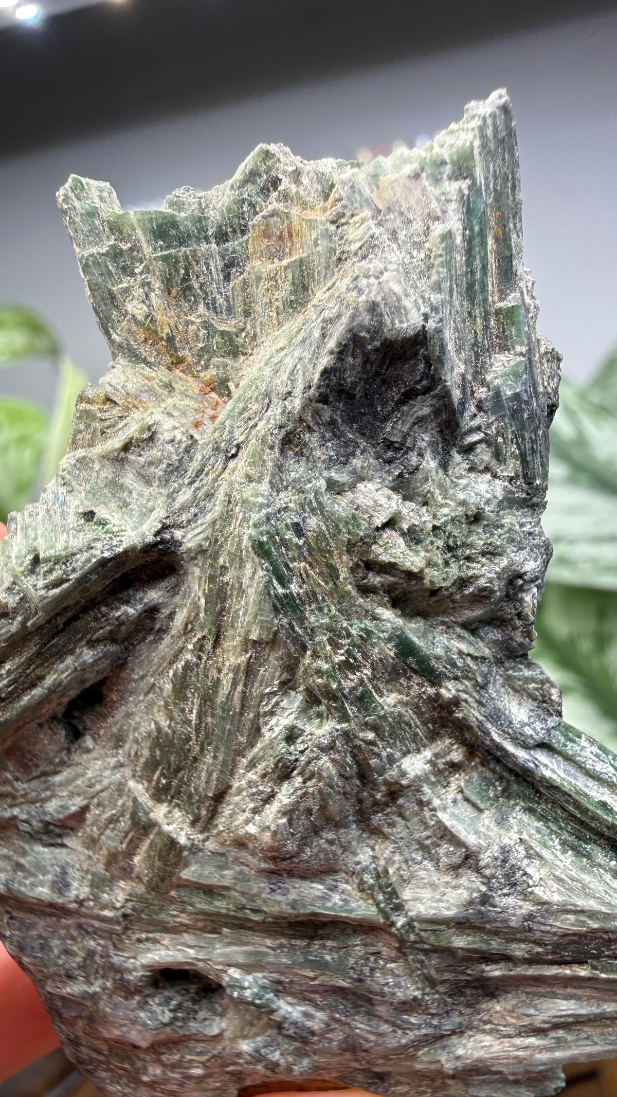 Actinolite with Quartz- Grizzly Ridge, Plumas County, California, USA