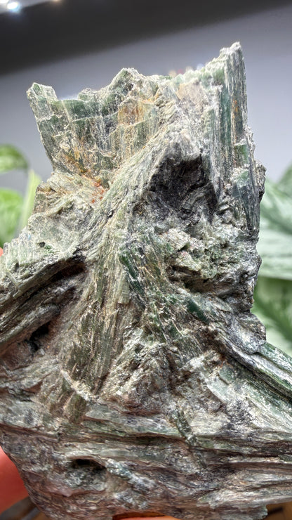 Actinolite with Quartz- Grizzly Ridge, Plumas County, California, USA