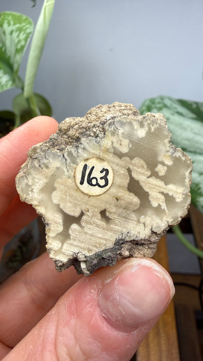 Datolite- Bete Grise, Grant Township, Keweenaw County, Michigan, USA