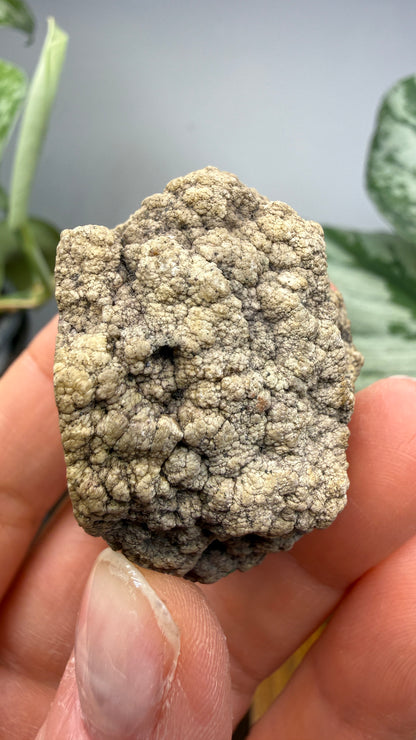 Datolite- Bete Grise, Grant Township, Keweenaw County, Michigan, USA