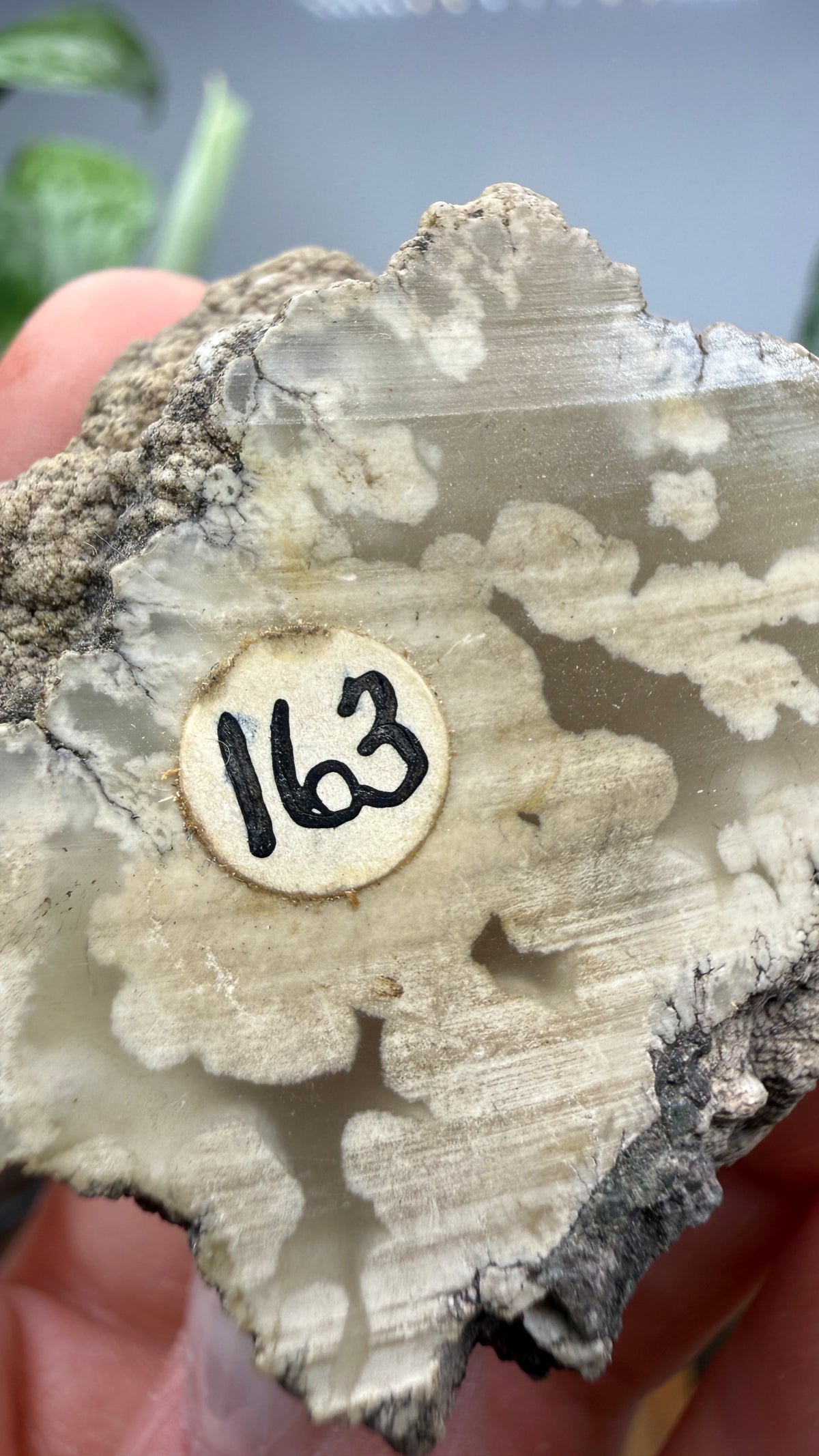 Datolite- Bete Grise, Grant Township, Keweenaw County, Michigan, USA