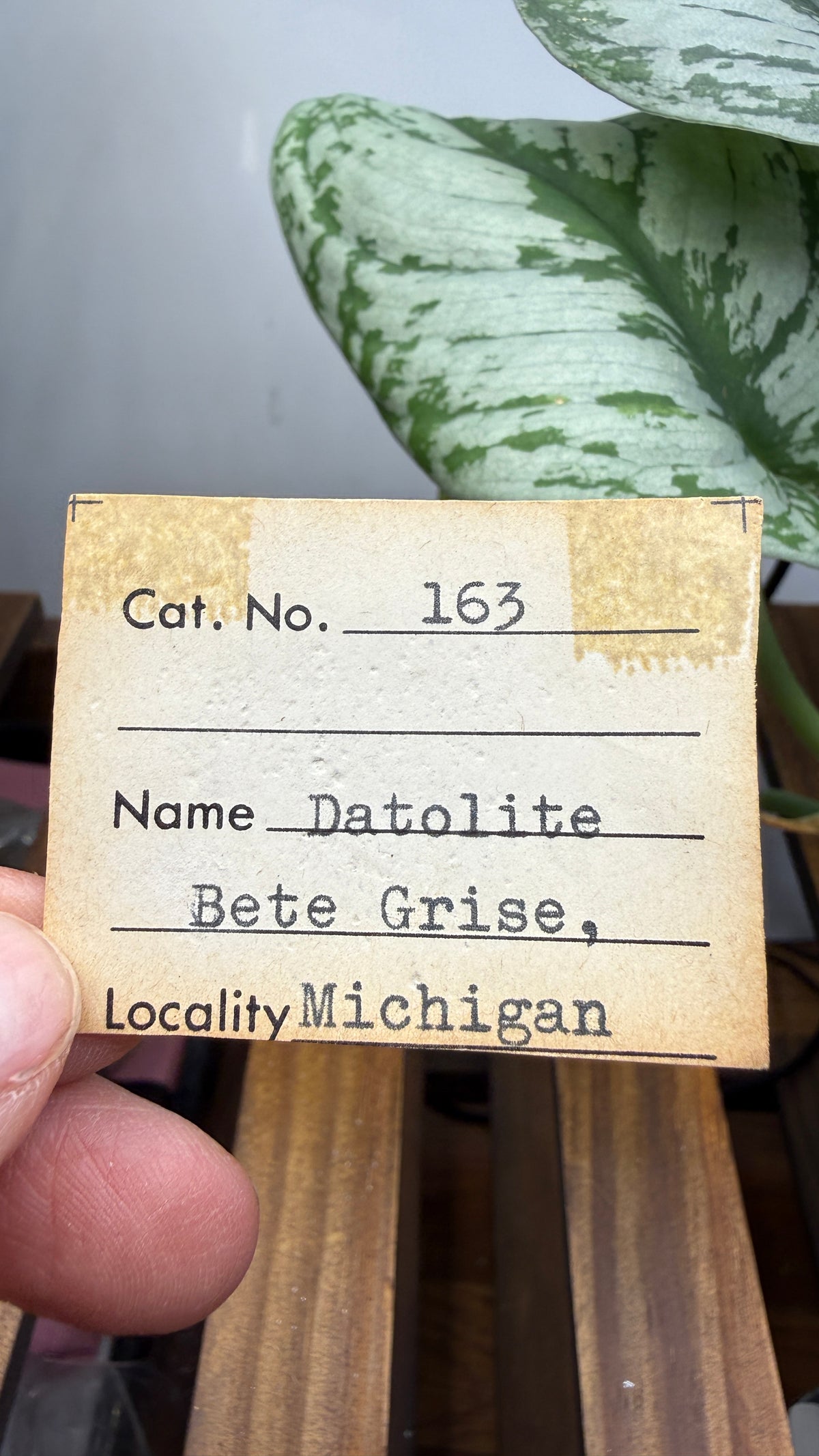 Datolite- Bete Grise, Grant Township, Keweenaw County, Michigan, USA