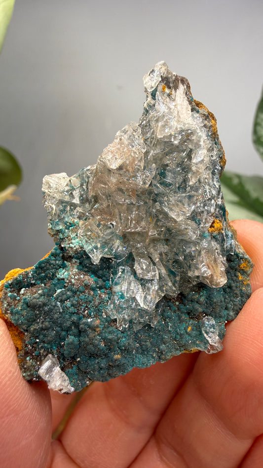 Rosasite with Calcite- Ojuela Mine, Mapimí, Mapimí Municipality, Durango, Mexico